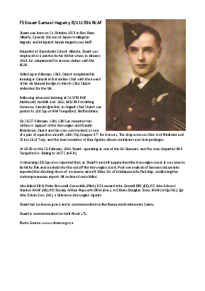 A preview of a PDF biography for Hagerty, Stuart Samuel